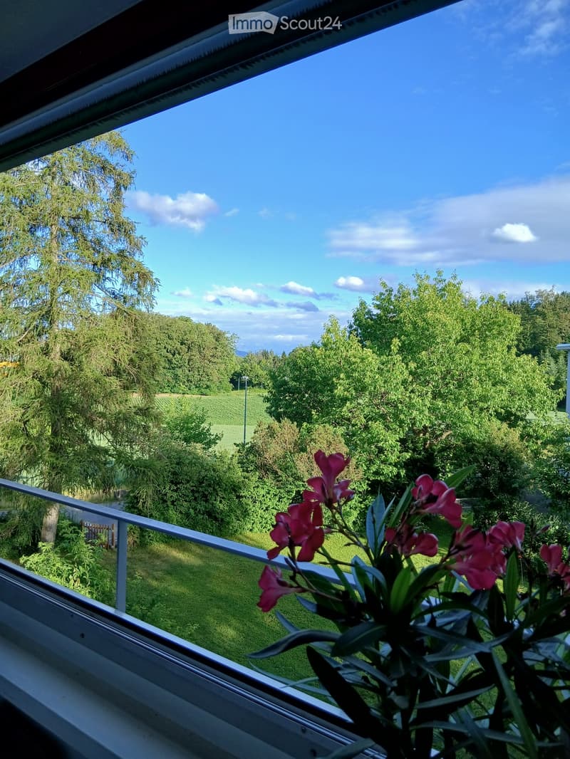 Grosse 4.5 Zi. Whg. Mit Balkon (3)