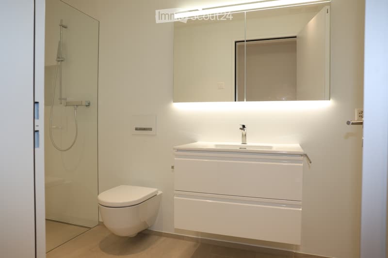 Exklusive 2 ½ Zimmer-Loft-Wohnung an zentraler Lage (3)