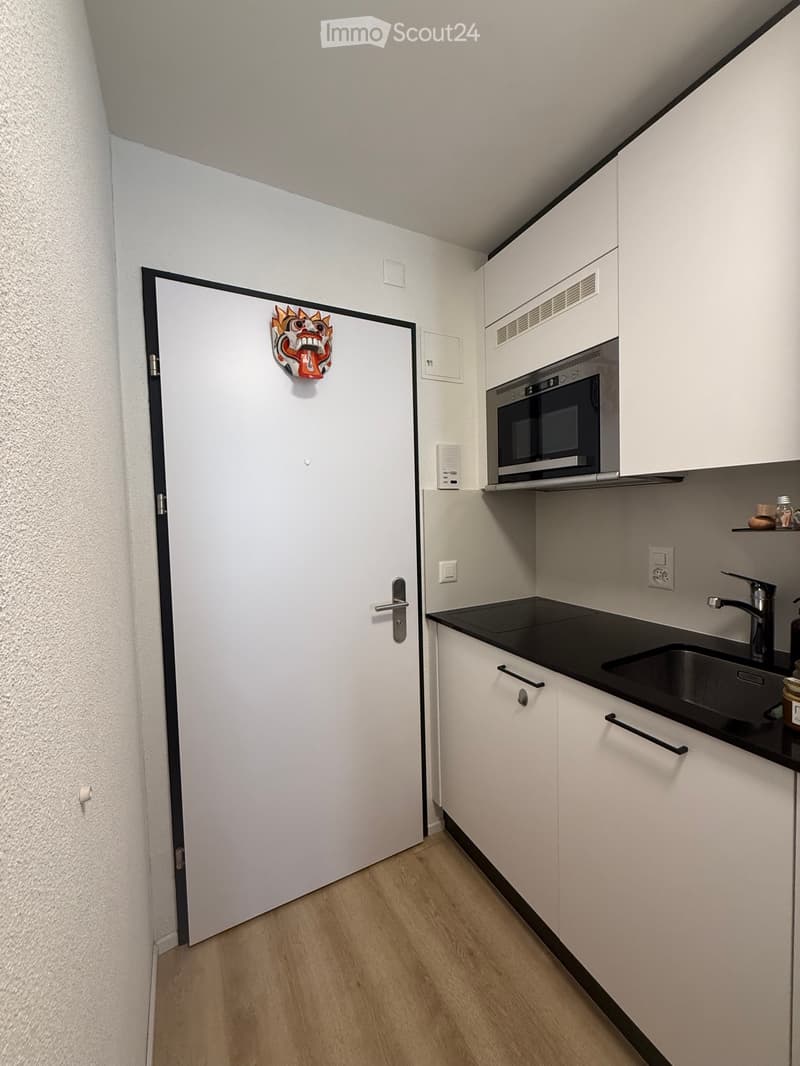 1 Zimmer-Wohnung in Zürich - hell und zentral (5)