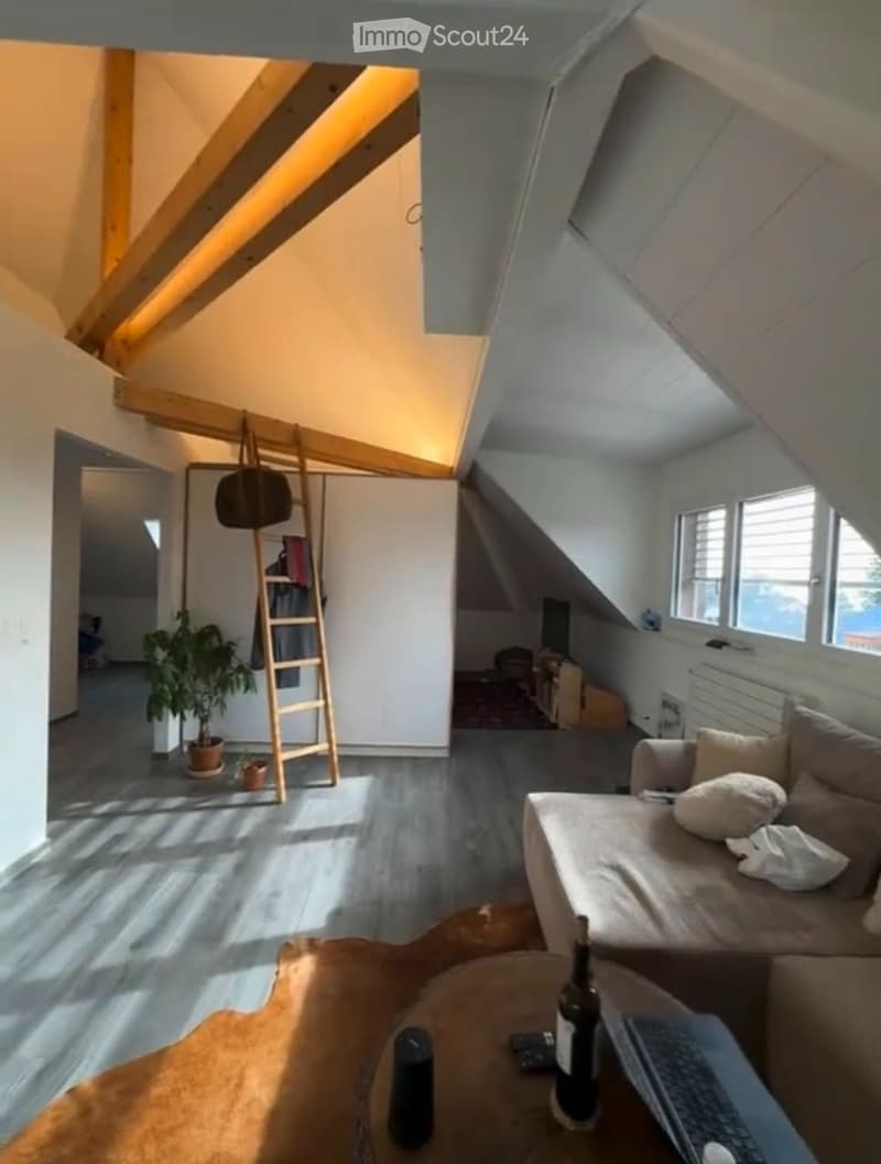 Monolocale arredato in affitto a Plainpalais (1205 Ginevra) (5)