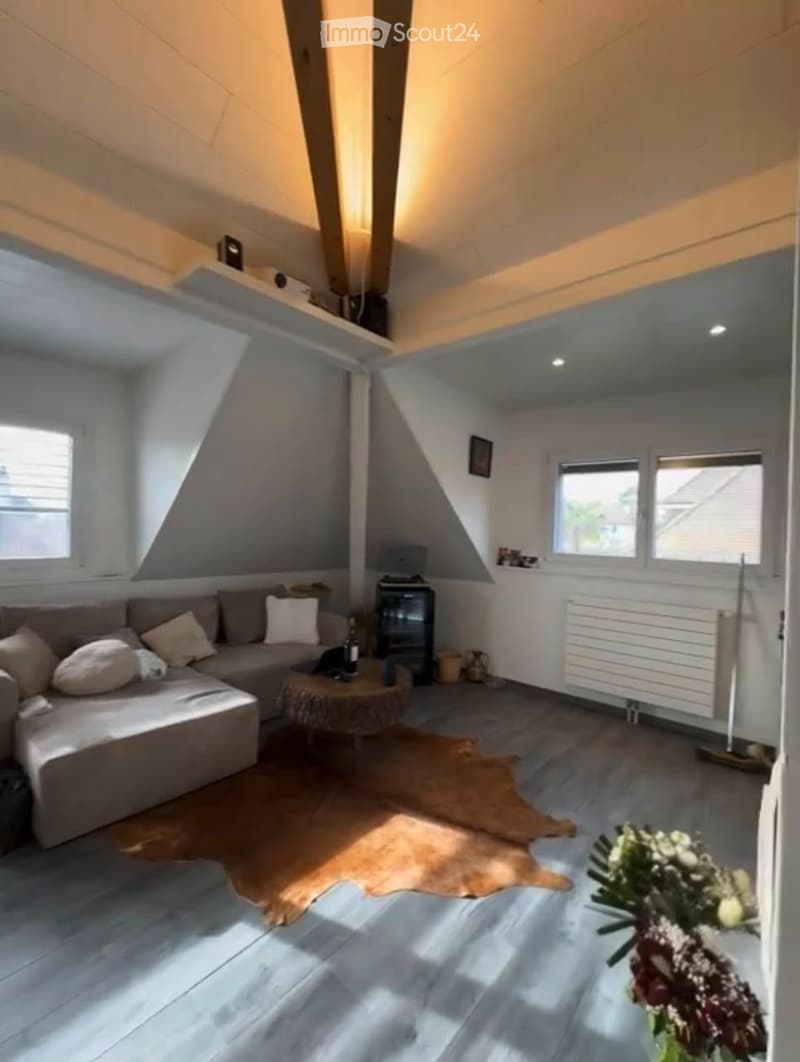 Monolocale arredato in affitto a Plainpalais (1205 Ginevra) (1)