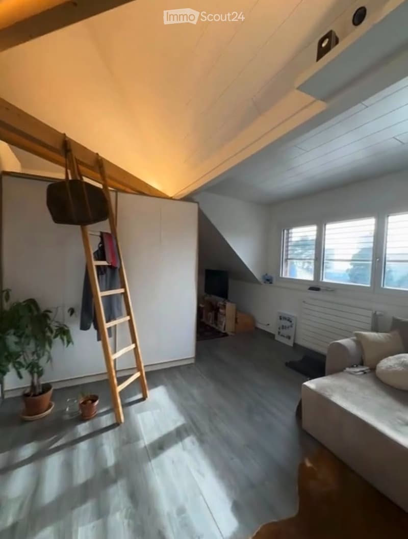 Monolocale arredato in affitto a Plainpalais (1205 Ginevra) (3)