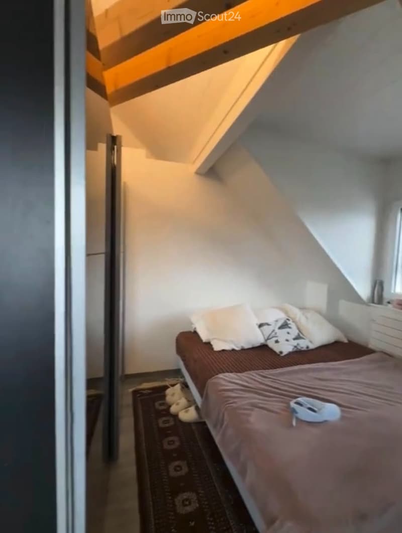 Monolocale arredato in affitto a Plainpalais (1205 Ginevra) (4)