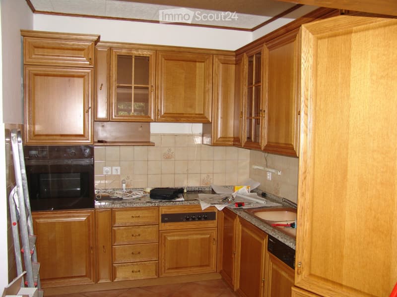 Apt4.5 in villa romantica, Faido (2)