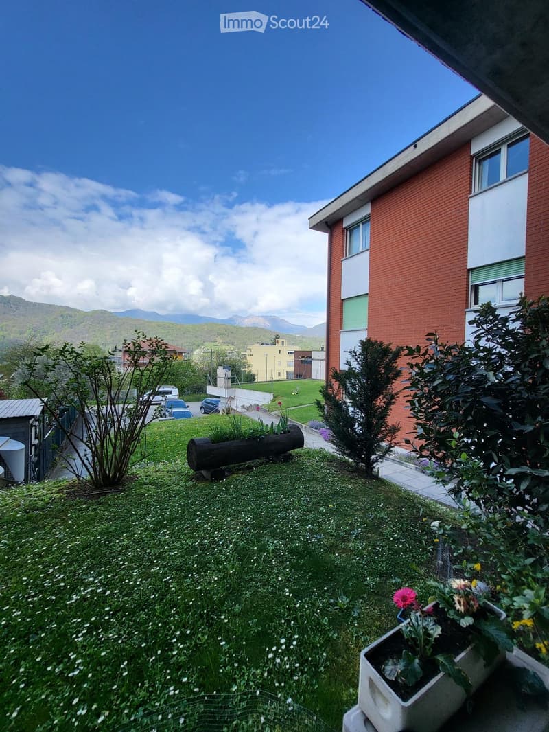 Grande 3,5 a Cadro da luglio/agosto vista aperta e giardino (1)