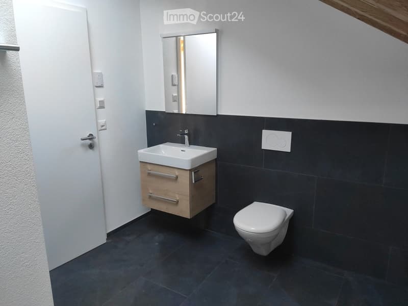 Appartamento di 2,5 locali con garage e ampio balcone (3)