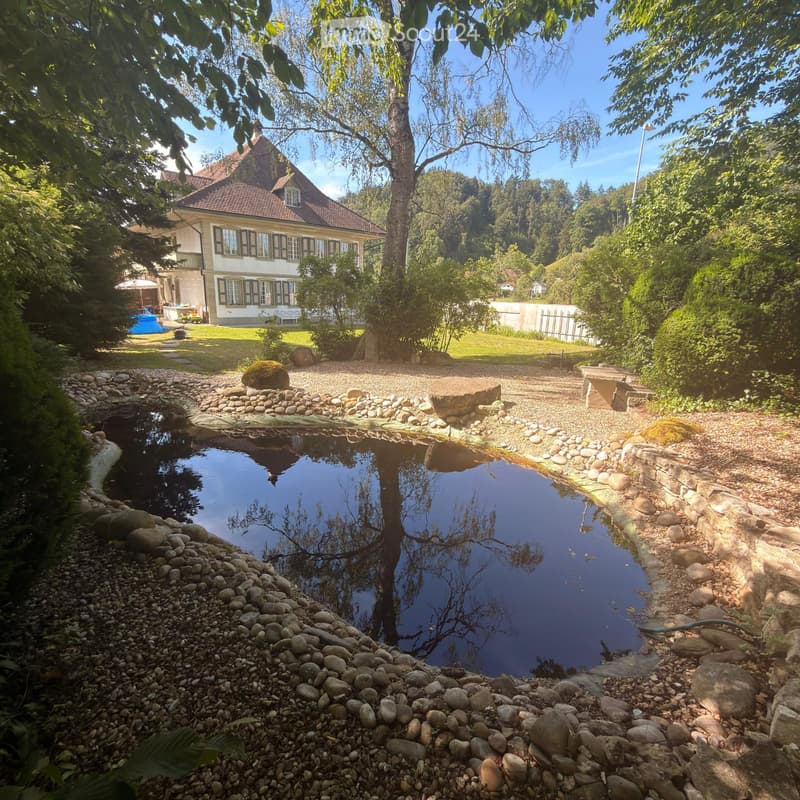 Sottolocatario per casa patrizia di 7 ½ locali con molto spazio circostante (2)
