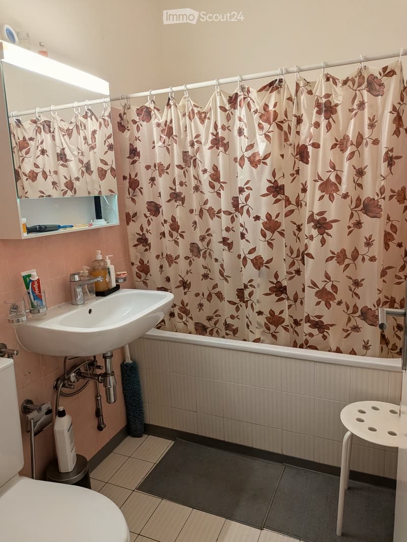 AFFITTASI appartamento di 2 locali Subentrata, Bellinzona (5)