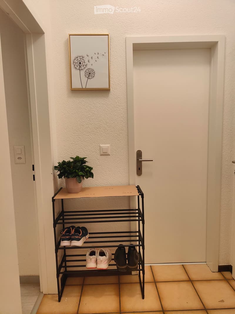 AFFITTASI appartamento di 2 locali Subentrata, Bellinzona (3)