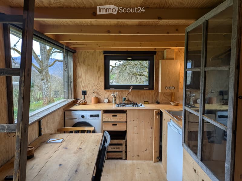 Tiny house à vendre (4)