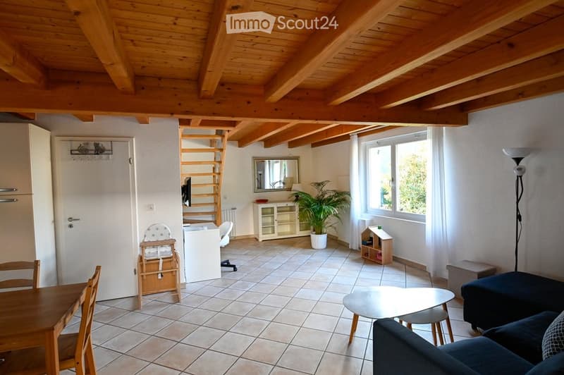 Affittasi lato casa con grande giardino e terrazza privati. (2)