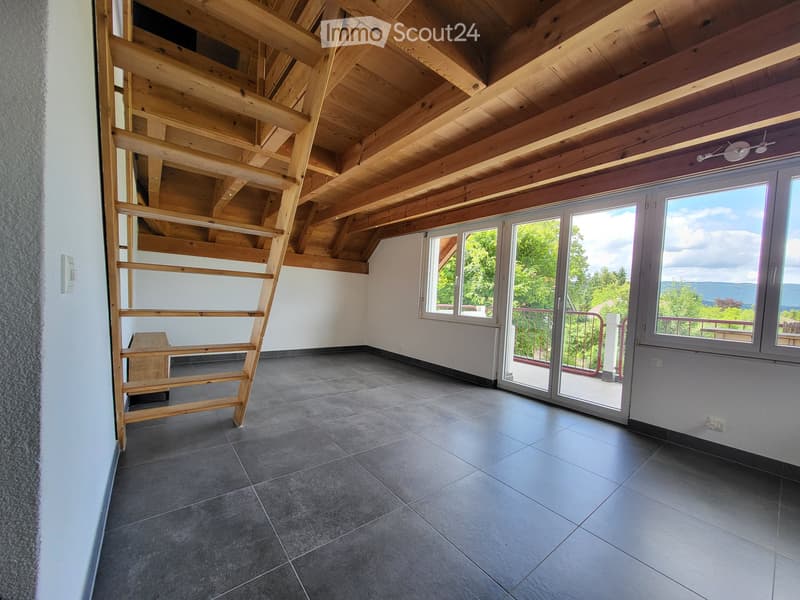 À louer : bel appartement duplex 2,5 pièces (3)