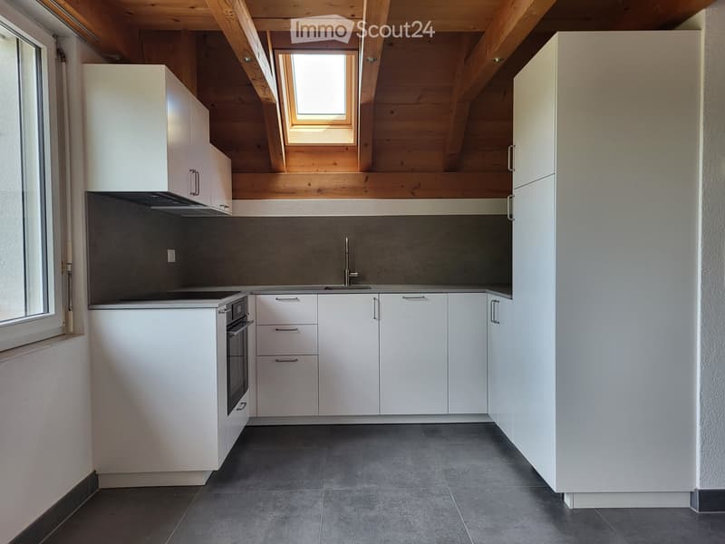 À louer : bel appartement duplex 2,5 pièces (2)