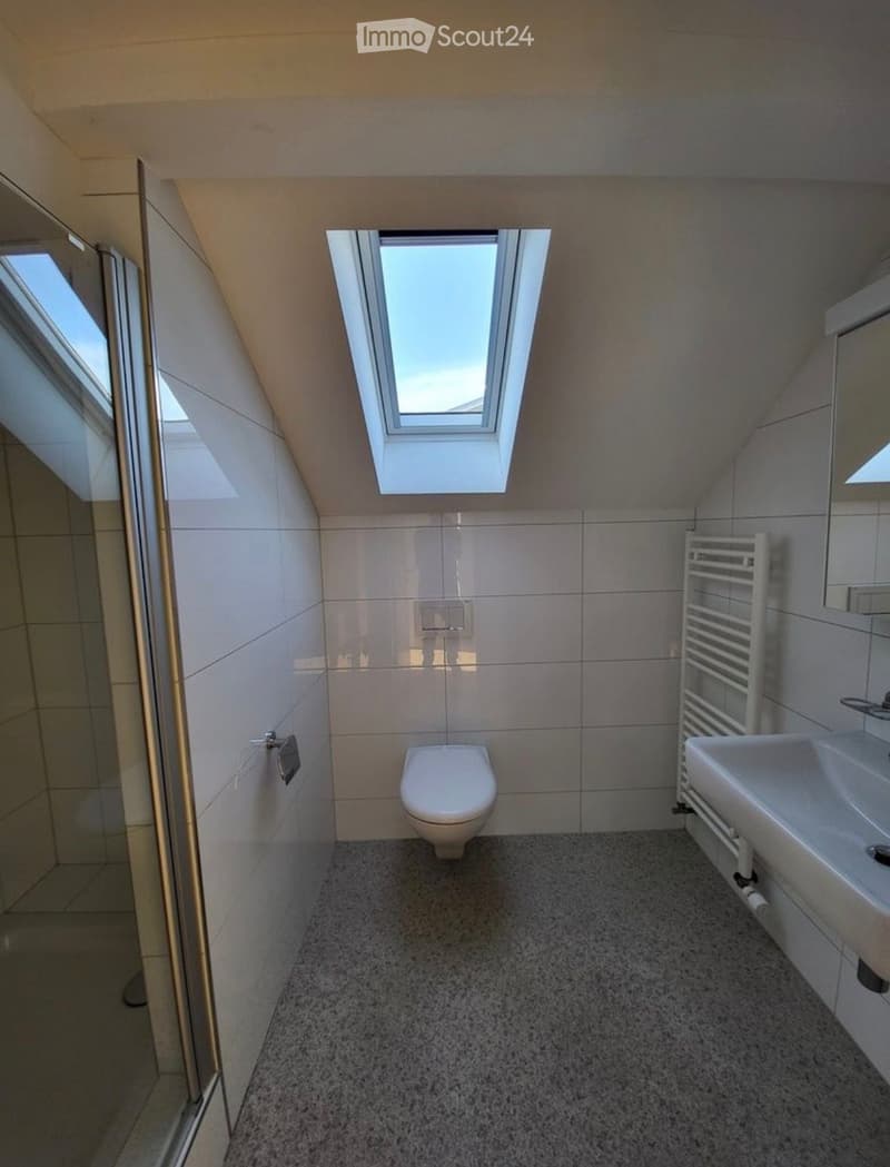 Schöne, helle 3.5 Zimmer Wohnung (4)