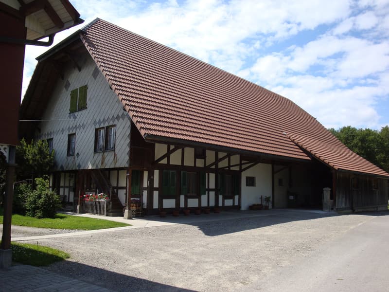 Bauernhaus/Schopf/Stall (3)