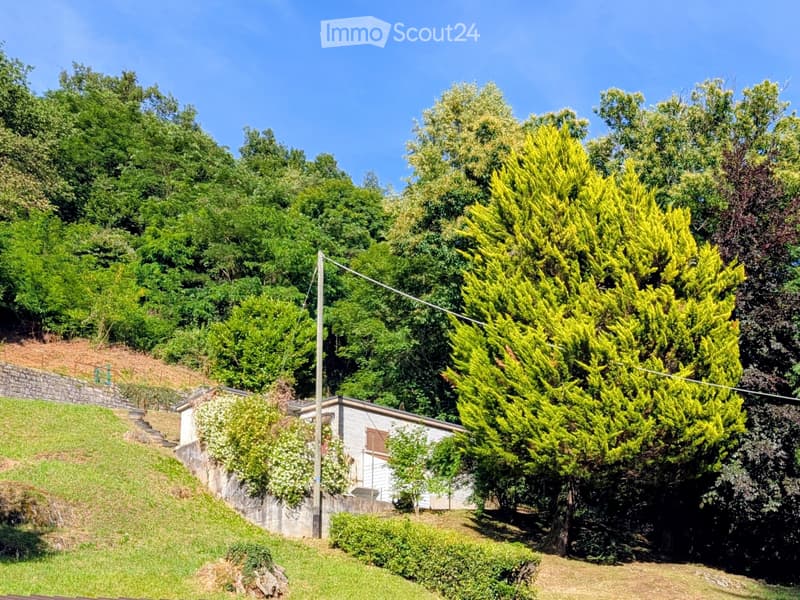 Casetta/Atelier nel verde a Sonvico (1)