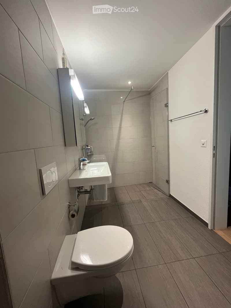 2.5 Zimmer-Wohnung in Boniswil zu vermieten (4)