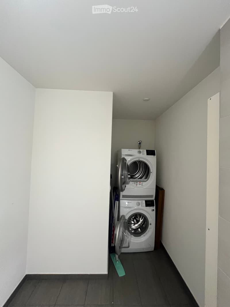 2.5 Zimmer-Wohnung in Boniswil zu vermieten (5)
