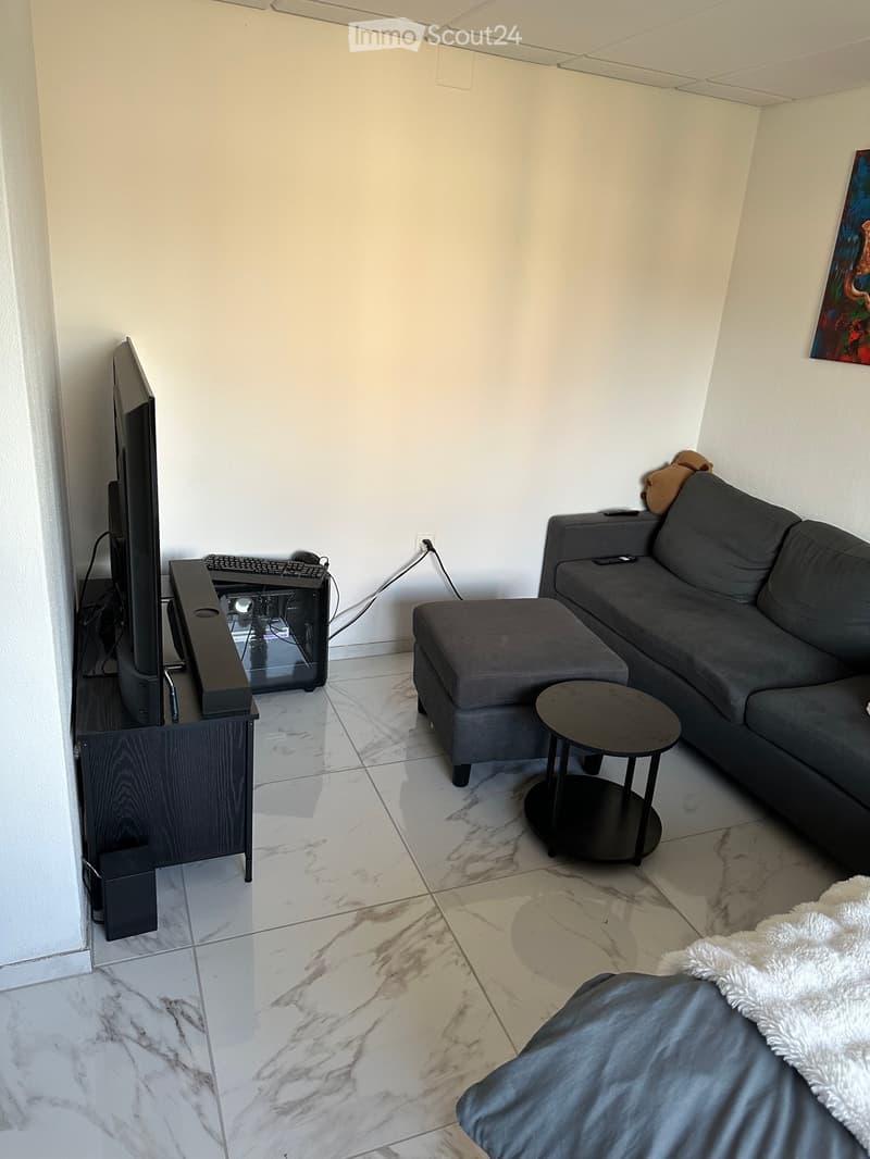 Bello appartamento 1.5 locali cerca un subaffittuario immediatamente (4)