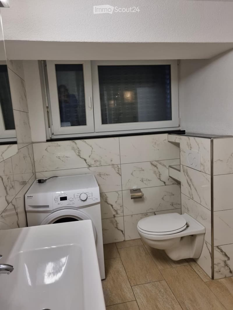 2.5 room apartment for rent in Schönenwerd. (2)