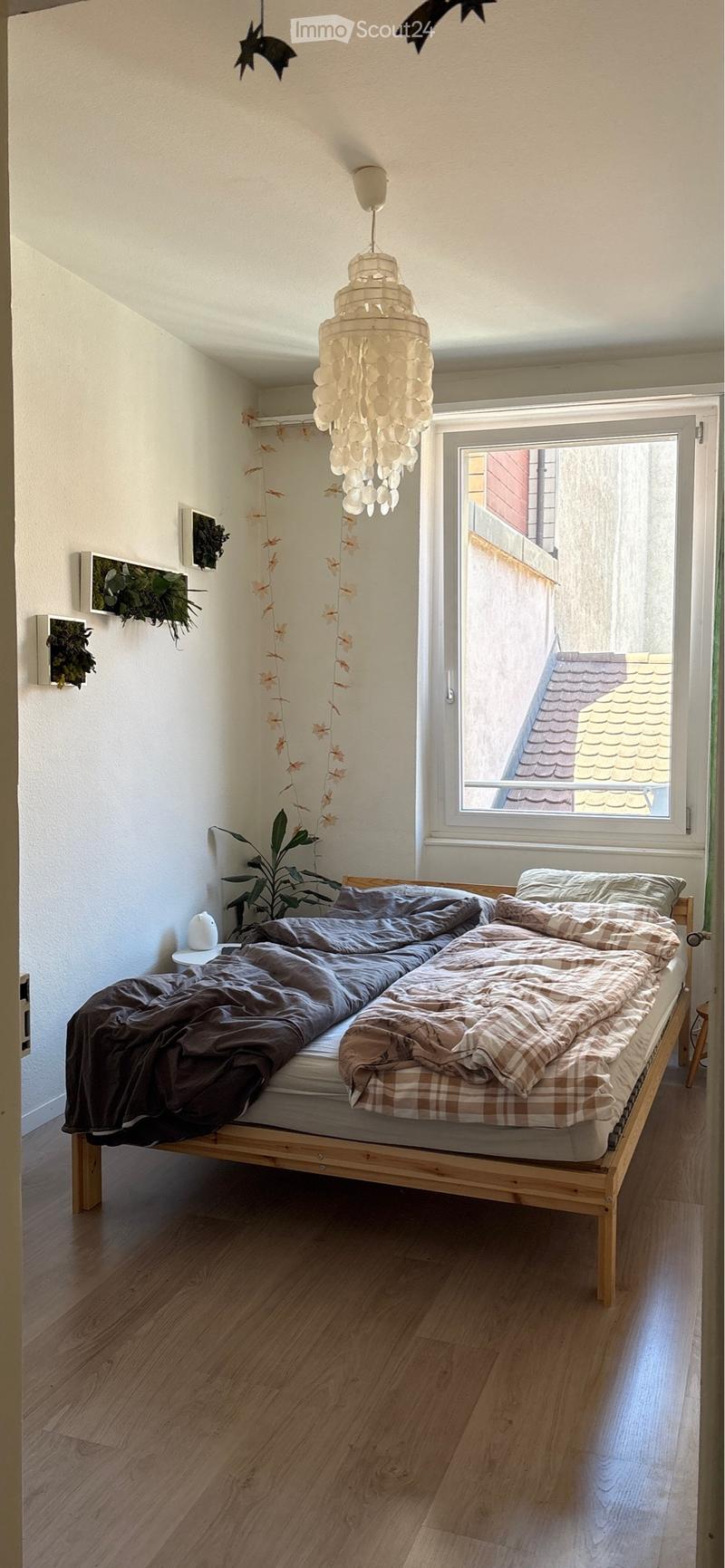 2 camere in un appartamento a Olten - non ammobiliato (2)