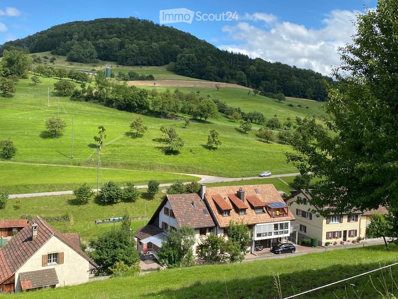 Ampio appartamento in una casa di 6 famiglie (1)