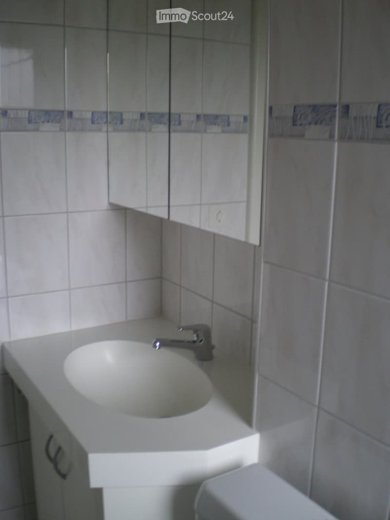 Appartement de 3 pièces lumineux (3)