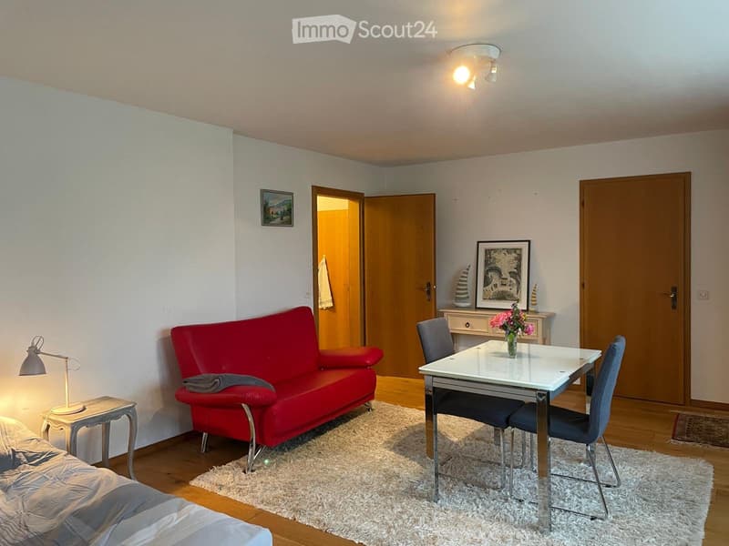 Möblierte 1-Zimmer-Einliegerwohnung Kurzmiete (1)