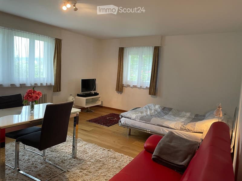 Möblierte 1-Zimmer-Einliegerwohnung Kurzmiete (2)