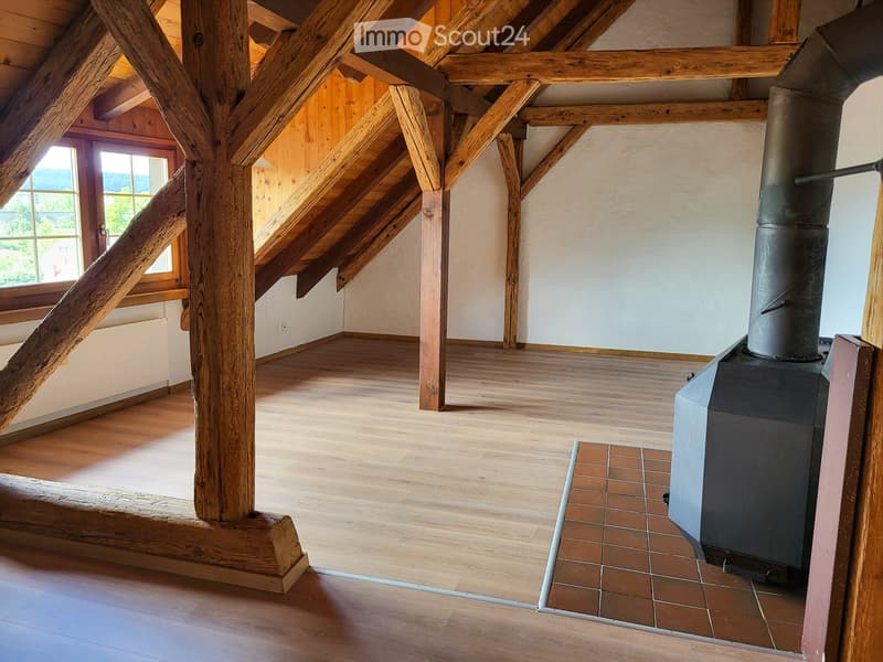 sehr ruhige, sanierte 4-Zi-Altstadt-Dachwohnung mit Balkon (3)