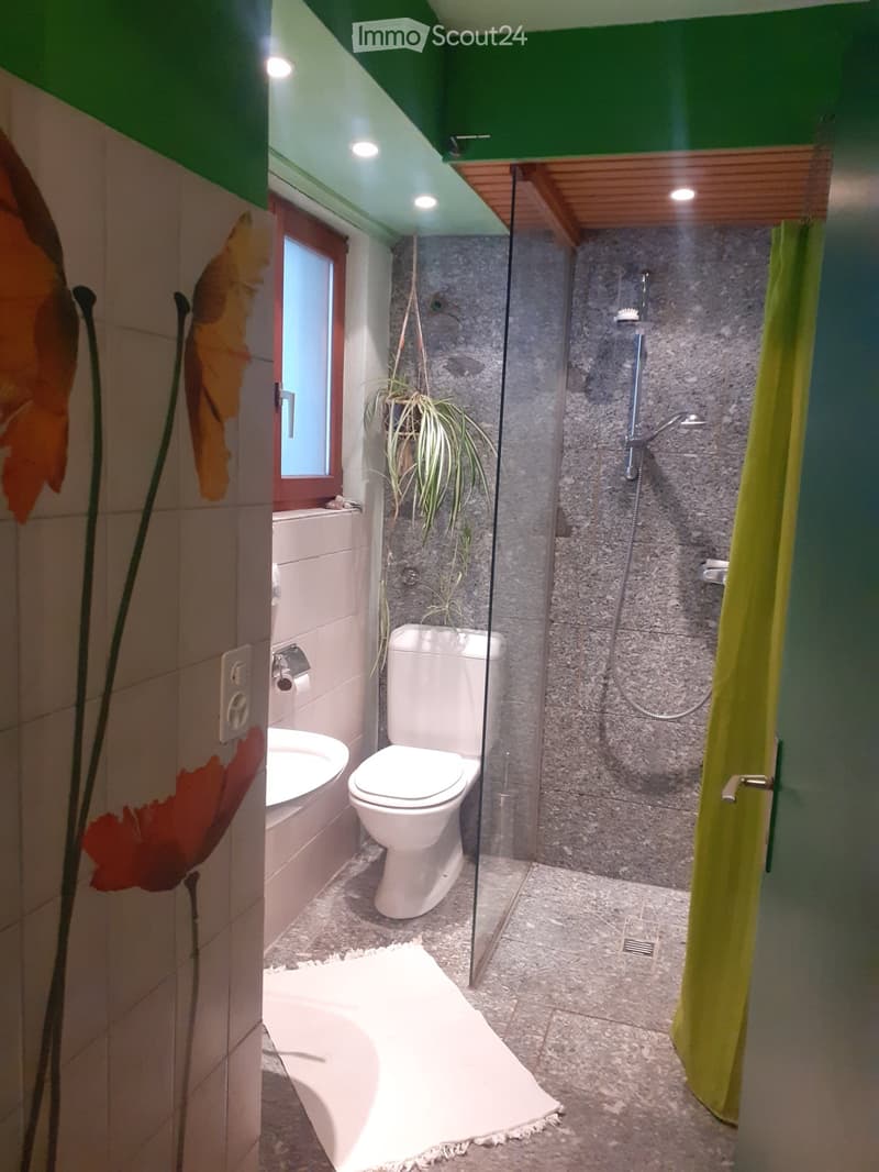 Malcantone, Monteggio affitto 6.5 locali (2)