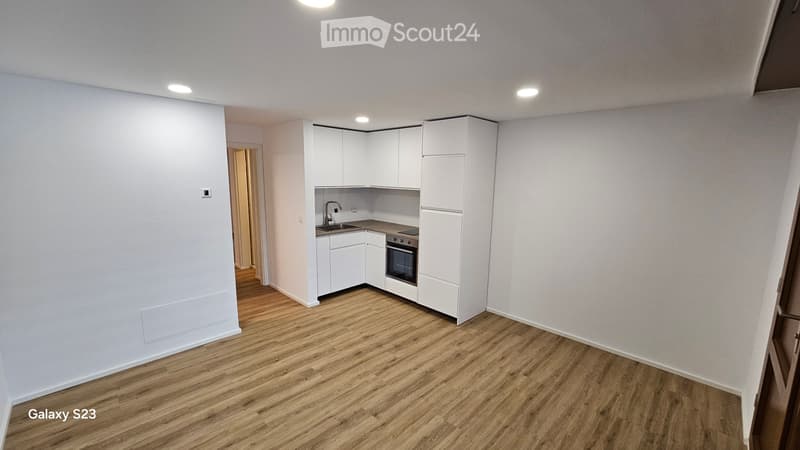 Appartamento moderno e soleggiato di 2,5 locali (5)