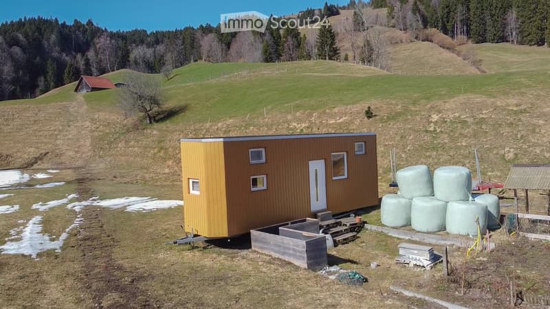 Tiny House (2)