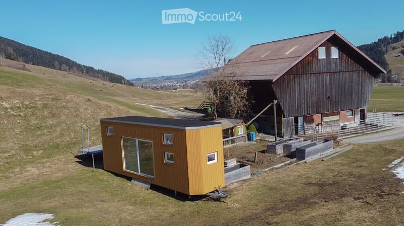 Tiny House (1)