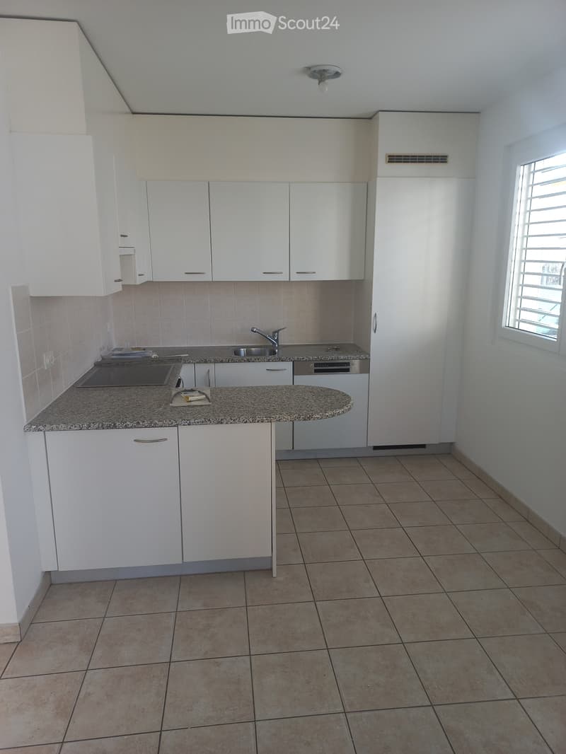 Partially furnished apartment for rent (5)