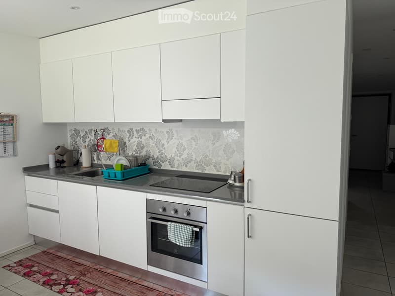 SEEKING SUBLETTER FOR 2,5 ROOMS IN CADENAZZO (1)