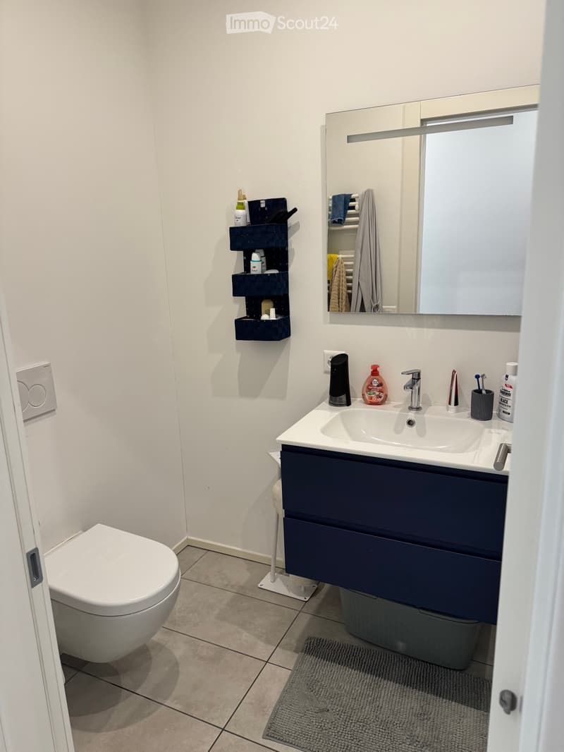 SEEKING SUBLETTER FOR 2,5 ROOMS IN CADENAZZO (3)