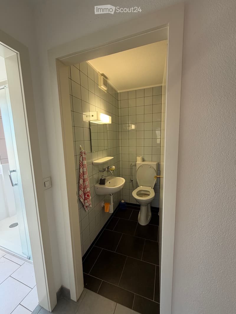 4 1/2 Zimmerwohnung (3)