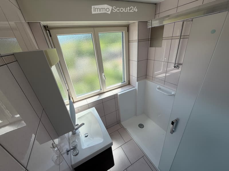 4 1/2 Zimmerwohnung (4)