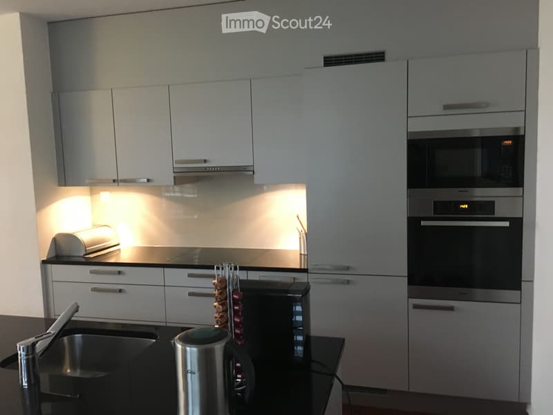 Appartement moderne, lumineux de 4,5 pièces en centre-ville (2)