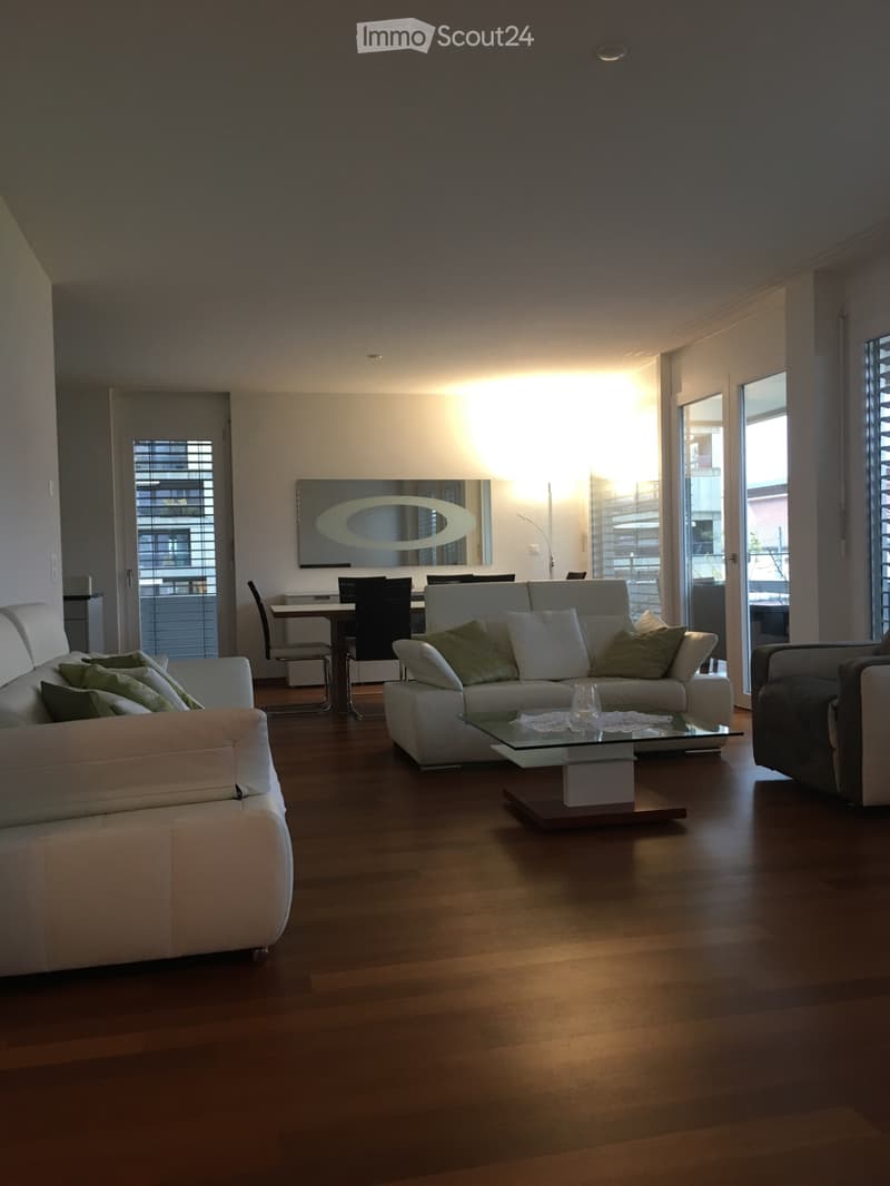Appartement moderne, lumineux de 4,5 pièces en centre-ville (4)