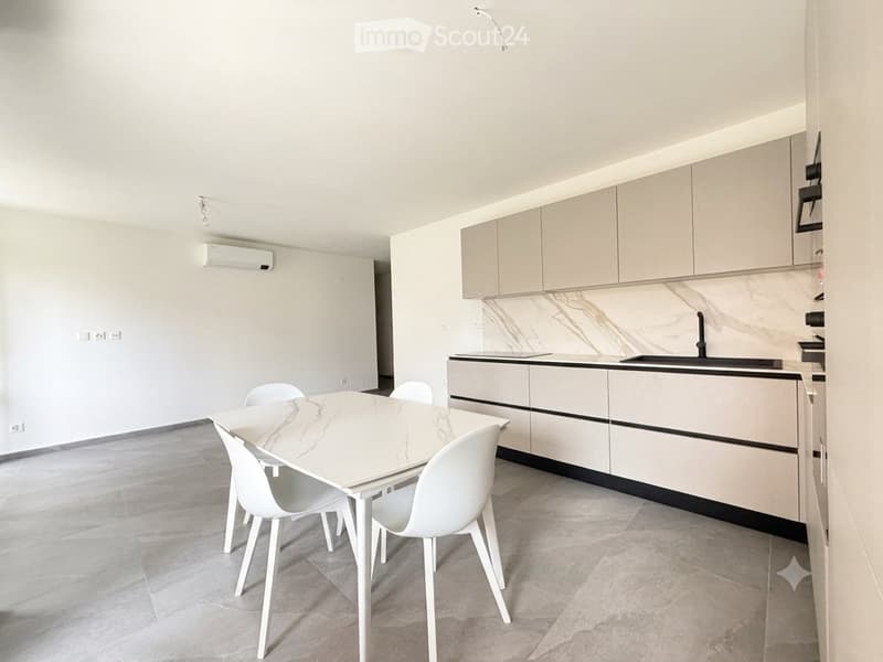 Mendrisio 3.5 Zimmer Wohnung renoviert mit Terrasse und Parkplatz (1)