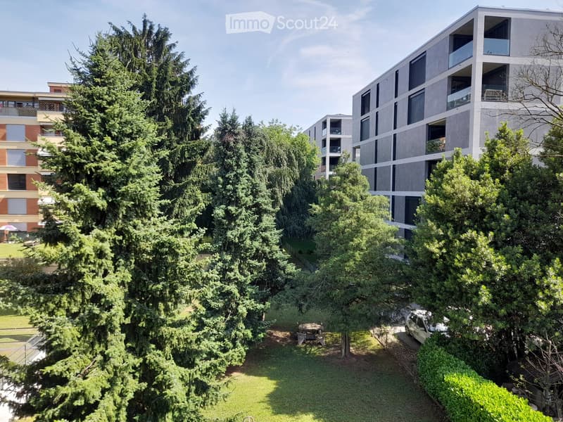 3.5 locali, balcone, tranquilla (vicino al Trenino/Migros) (5)