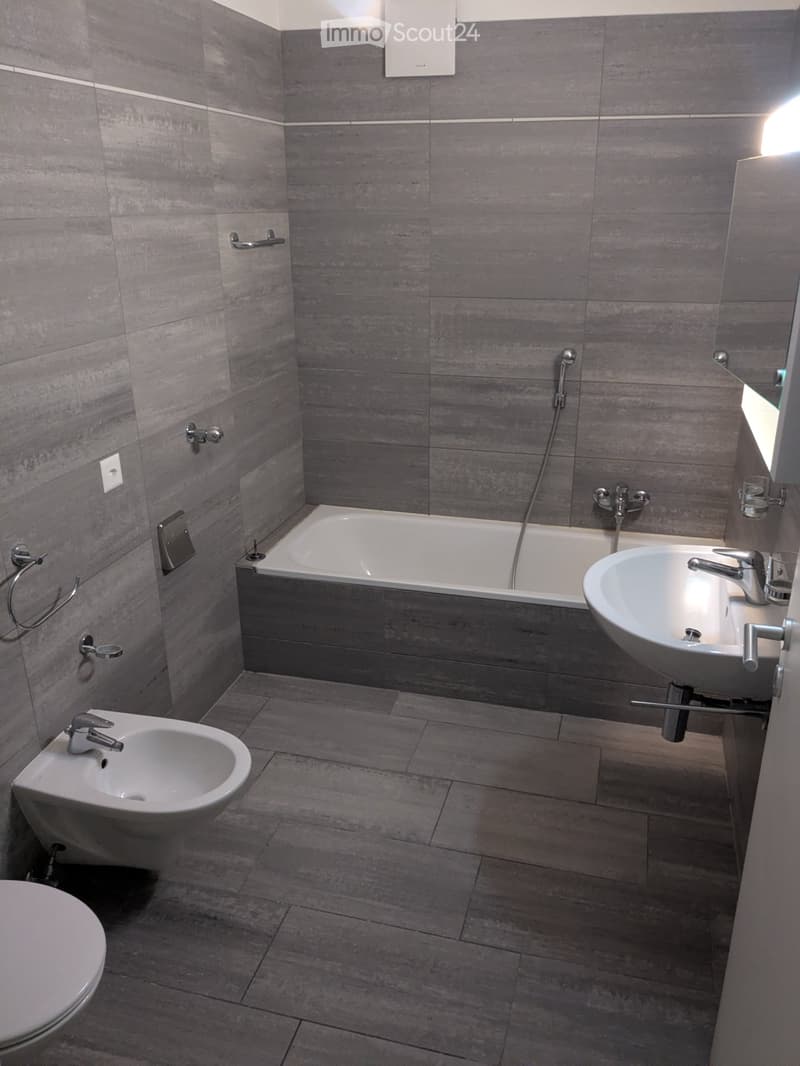Mietwohnung 4.5 Zimmer in Giubiasco - Bellinzona (3)