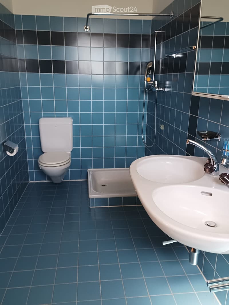 Miete 4,5 Zimmer in Ponte Tresa, höher gelegene Zone am Hügel (5)
