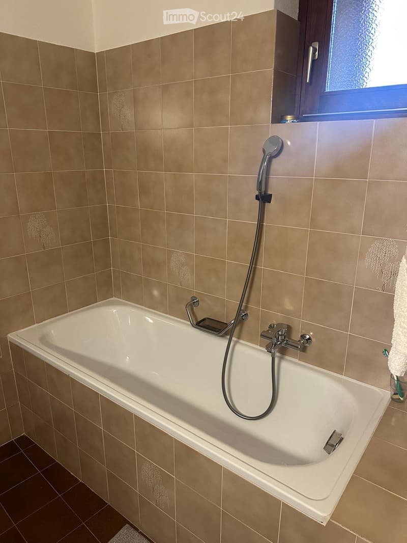 Vendesi a Scudellate casa di paese indipendente (13)