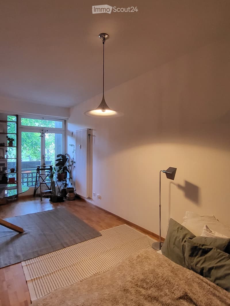 Grazioso monolocale con balcone - cerco subentrante (1)