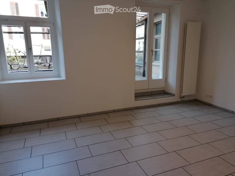 Appartamento 2,5 locali con giardino (3)
