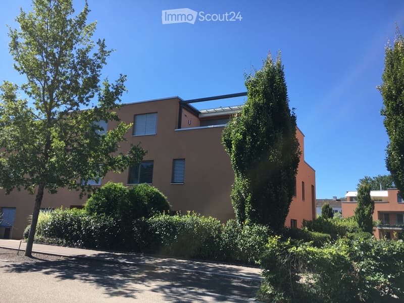 Appartement 3.5 pièces à louer à 8903 Birmensdorf (1)