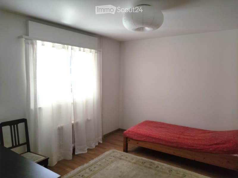 Chambre simple à Kriens (1)